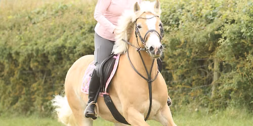 H&P Hanslope fun ride 