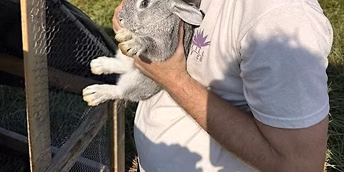 Farm Chores at Wild Lea Farm