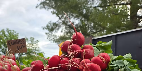 Mother's day at the CCFM 