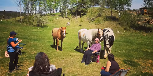 Healing with the Horses