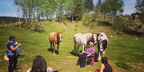 Healing with the Horses