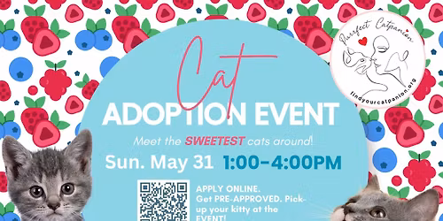 Cat Adoption Event