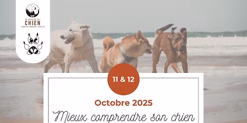 Mieux comprendre son chien 