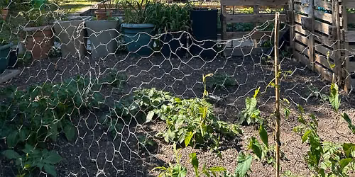 SJB Cathedral Garden Tours