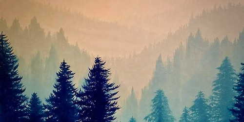 Misty Moody Bears