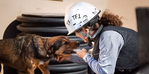 CANINE INFORMATION DAY-2026