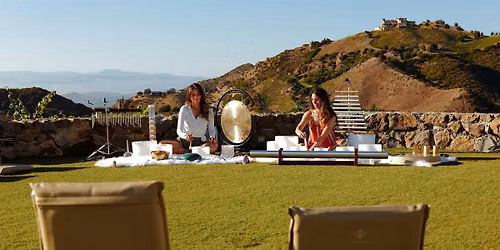 Golden Hour Energy Reset Meditation in the Vineyard