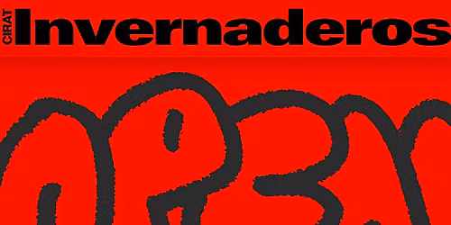 Hechizo del Sur: Mujeres en el Flamenco