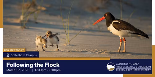 Following the Flock: Spring Bird Migration