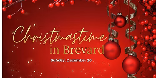 Christmastime in Brevard