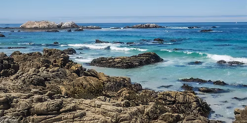 Scenic 17 Mile Drive Self-Driving Tour