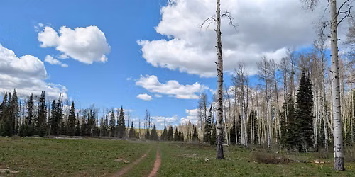 Wagon Wheel OHV Club Poker Run