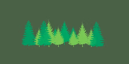 Day 41 Launch and Market