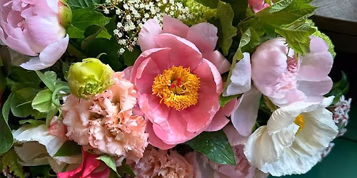 IN STUDIO - Peony Petals (Wednesday)