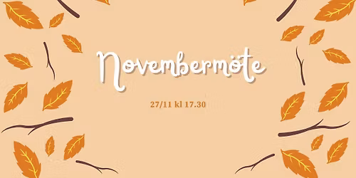 Novemberm\u00f6te 27\/11