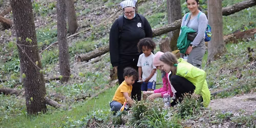 Family Wildflower Walk & Workshop 