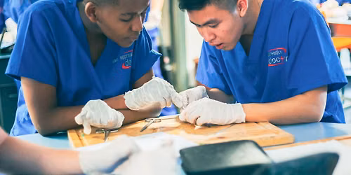 Medical Program