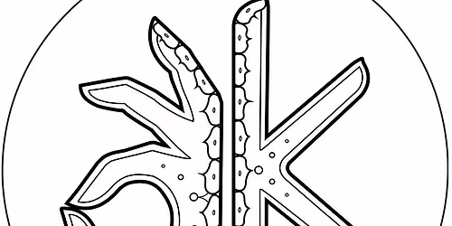 Weekly Yoga for Bone Health and general wellbeing