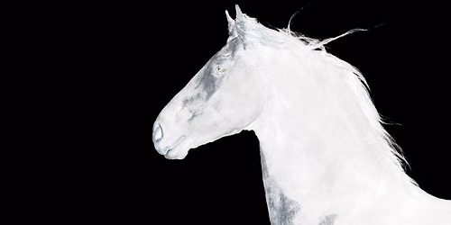 Audition: EQUUS @ The Ringwald