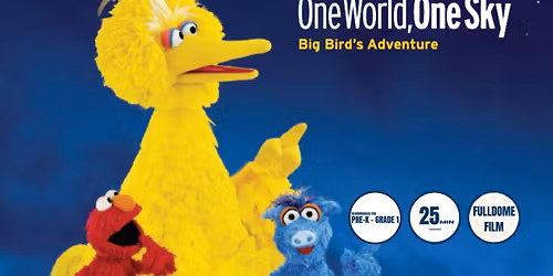 One World, One Sky: Big Bird's Adventure