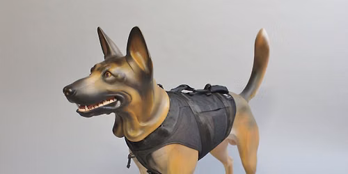 Opening of Special exhibit: "Wounded Warrior Dogs"