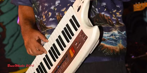 Live Music - Curtis Love (Keytar)