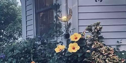 May Plant Swap and Shop! 