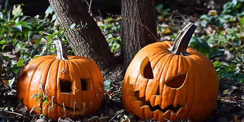 Pumpkin Smash