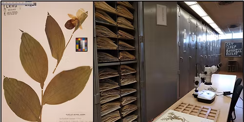 Plant collecting, Pressing and Preserving Workshop (EVENT IS FULL)