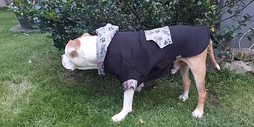 grand march\u00e9  de Qu\u00e9bec 