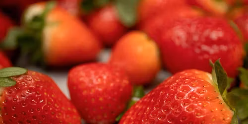 Water Bath Canning 101: Jams and Jellies