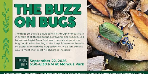 The Buzz on Bugs