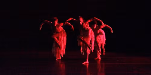 Vista's del Lago High School Dance Theater - Fall 2025