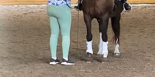 Biomechanics Clinic w\/ Suzanne Galdun