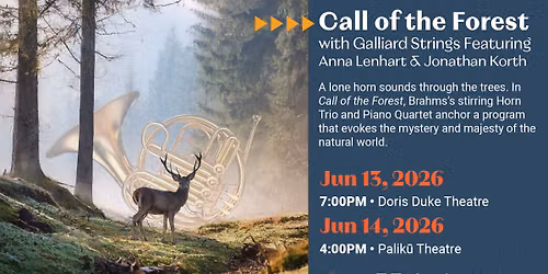 Call of the Forest
