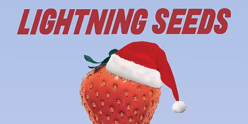 Lightning Seeds