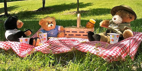 Teddy Bears Picnic 2026