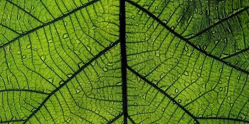 CI\u00caNCIA EM FAM\u00cdLIA | MICROCOISAS