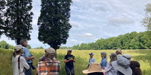 Guided Walk: Bugler Preserve Hike 