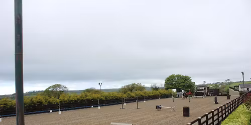 Working Equitation (Ease of Handling) clinic 