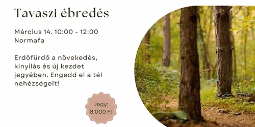 Erd\u0151f\u00fcrd\u0151 Normaf\u00e1n - Tavaszi \u00e9bred\u00e9s