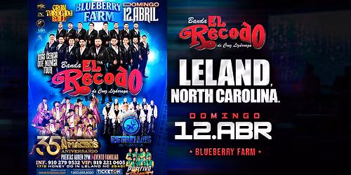 BANDA EL RECODO, BANDA MACHOS Y MAS