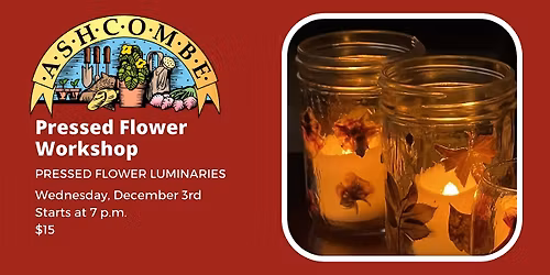 Pressed Flower Luminaries