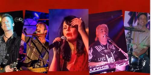 MOJO MONKS At The Bloomington VFW Event Center 