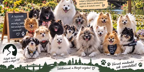 Spitz \u0151szi tal\u00e1lkoz\u00f3 - kuty\u00e1s s\u00e9ta a Margit szigeten