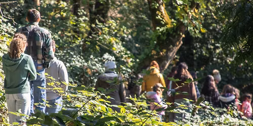 December Forest Walk at Columbia Springs 