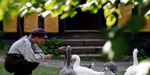 Middag med historie: Mortensaften