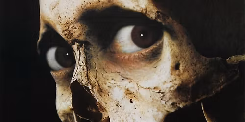 Wicked VHS presents: Evil Dead II