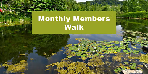 Forest Bathing Club - Monthly Gathering