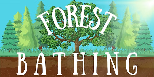 Forest Bathing & Nature Talks